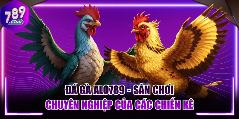 Đá Gà ALO789 - Sân Chơi Chuyên Nghiệp Của Các Chiến Kê