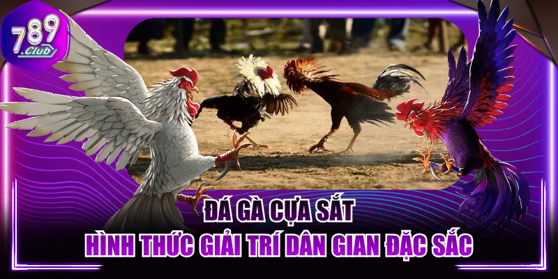 Đá Gà Cựa Sắt | Hình Thức Giải Trí Dân Gian Đặc Sắc