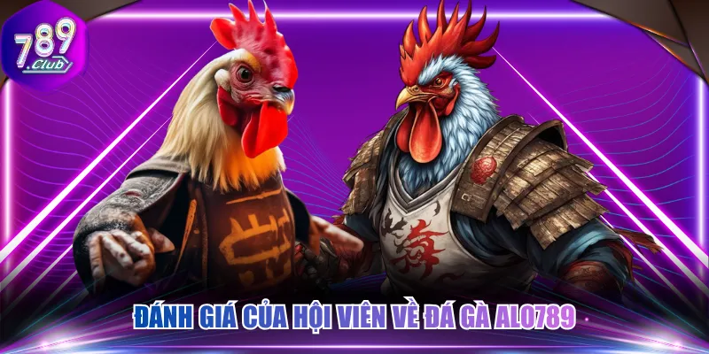 Đánh giá của hội viên về đá gà ALO789