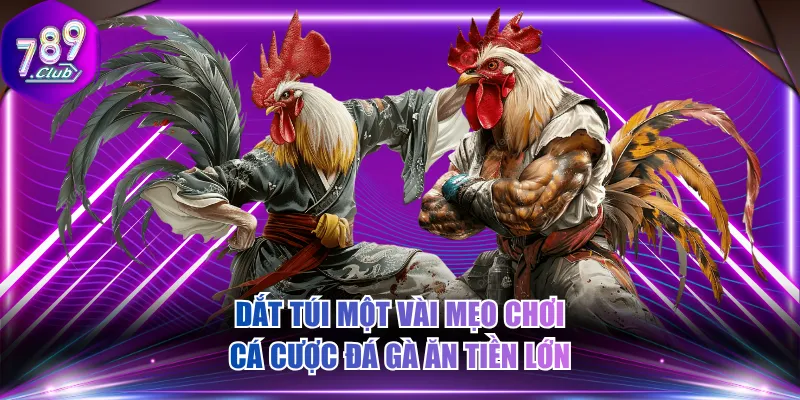 Dắt túi một vài mẹo chơi cá cược đá gà ăn tiền lớn