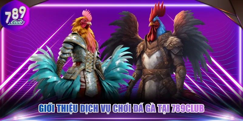 Giới thiệu dịch vụ chơi đá gà tại 789CLUB