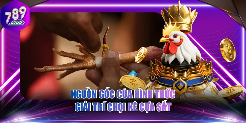 Nguồn gốc của hình thức giải trí chọi kê cựa sắt